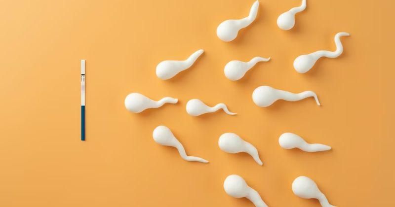 Apakah Menelan Sperma saat Haid Bisa Hamil?